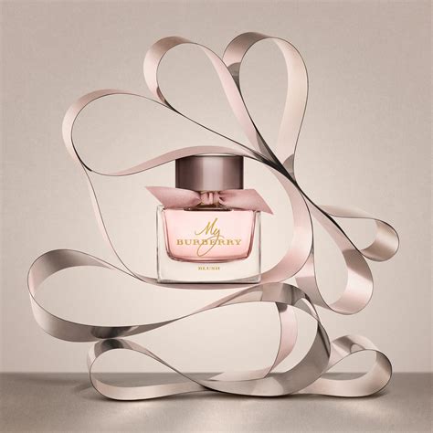 burberry blush set